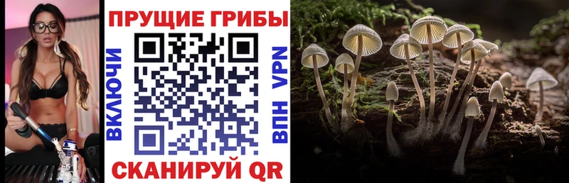 Псилоцибиновые грибы GOLDEN TEACHER  OMG ссылки  Сыктывкар  сколько стоит 